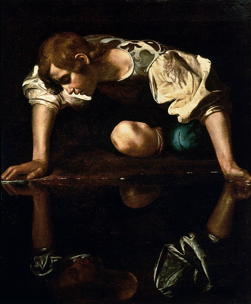 Narcissus: Beauty Awakens