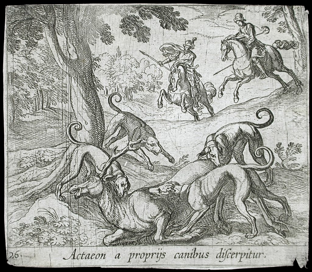 Etching of the transformed Actaeon attacked by hunting dogs as mounted hunters approach.